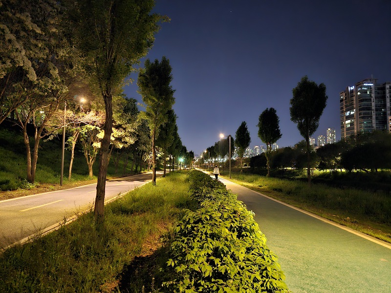 도림천 산책로 전경 3